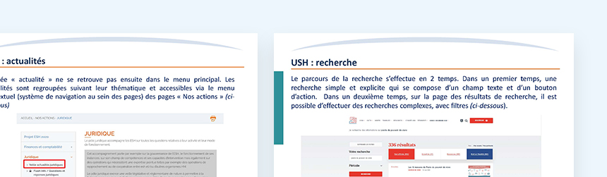 Extrait de l'audit des concurrents