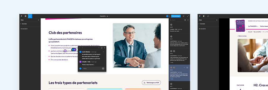 Extrait du tableau Figma présentant les maquettes du futur site de la FNADEPA, on voit les commentaires déposés par Netemedia