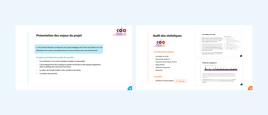 Travail préparatoire de la conception du site : enjeux du projet et audit des statistiques